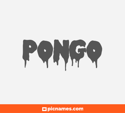 Pongo