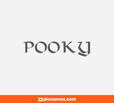 Pooky