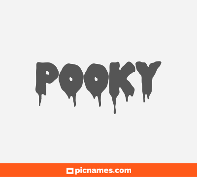Pooky