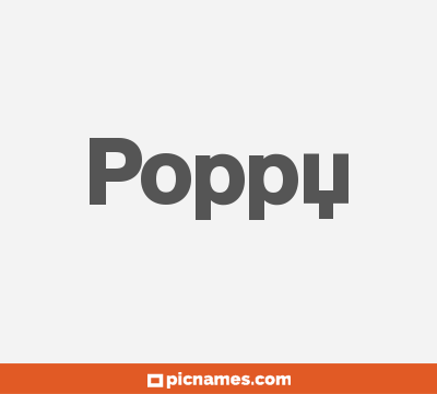 Poppy