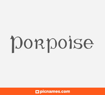 Porpoise