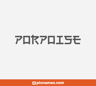 Porpoise