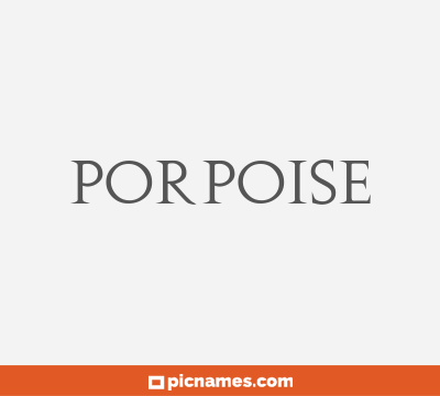 Porpoise