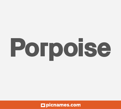 Porpoise