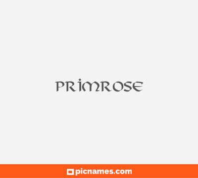 Primrose