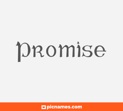 Promise