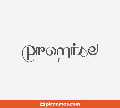 Promise