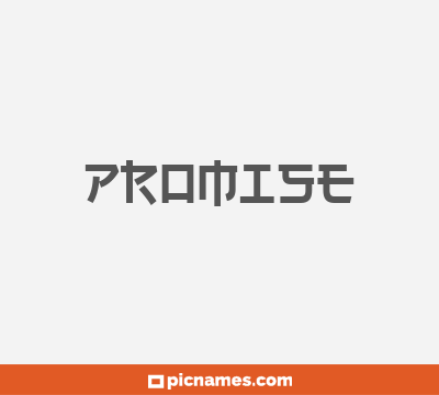 Promise