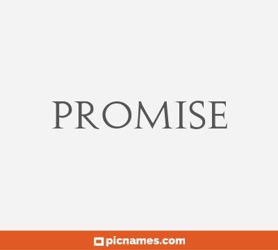 Promise