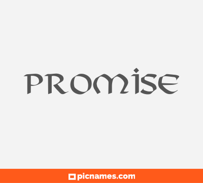 Promise