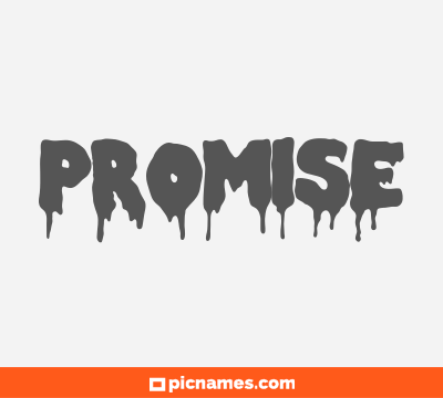 Promise