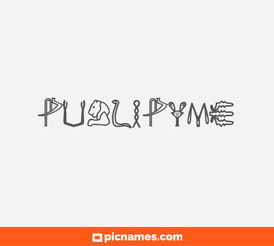 Publipyme