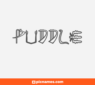 Puddle