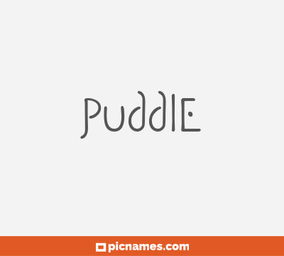 Puddle