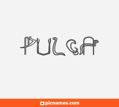 Pulga