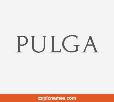 Pulga