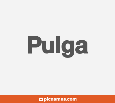 Pulga