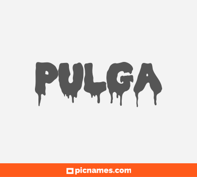 Pulga