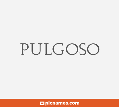 Pulgoso