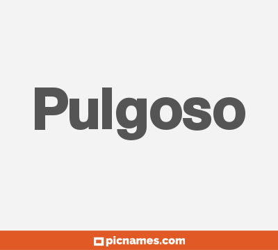 Pulgoso