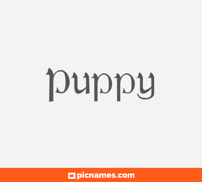 Puppy