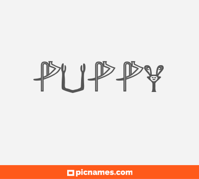 Puppy