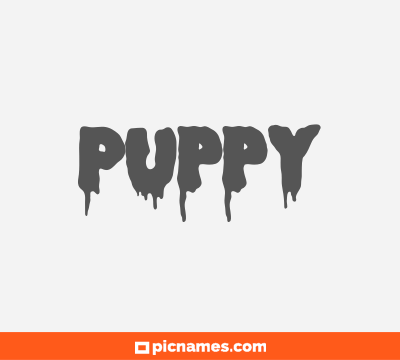 Puppy