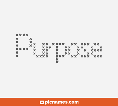 Purpose