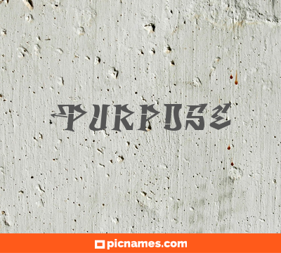 Purpose