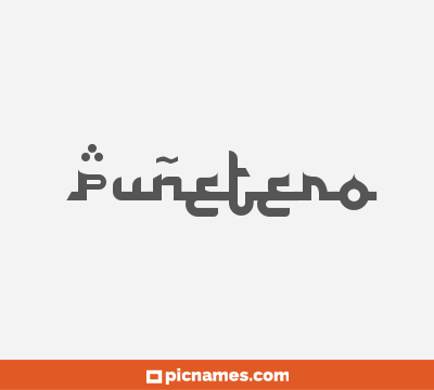 Puñetero