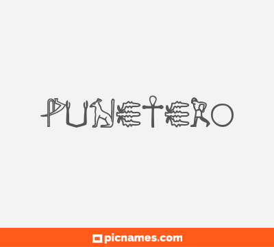 Puñetero