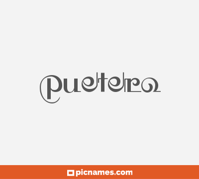 Puñetero