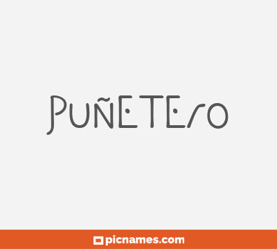 Puñetero