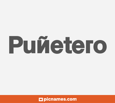 Puñetero