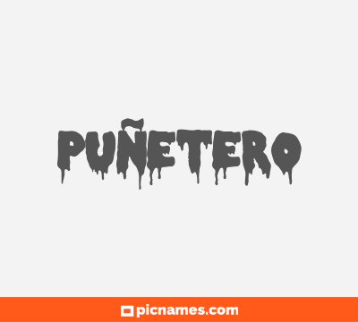 Puñetero