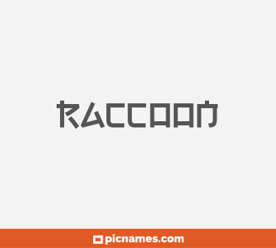 Raccoon