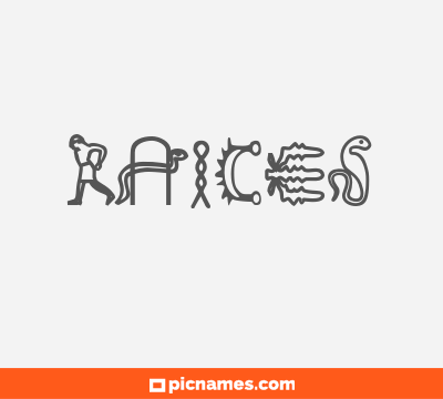 Raices