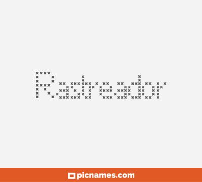 Rastreador