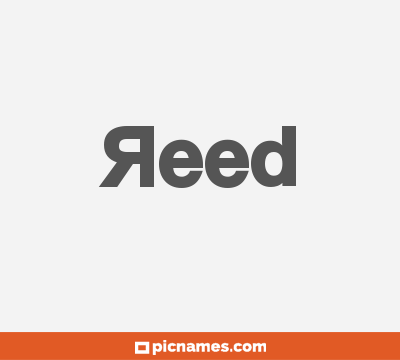 Reed