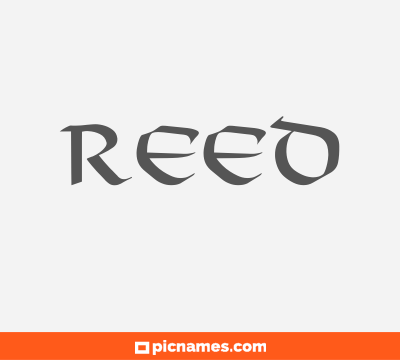 Reed