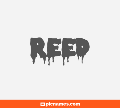 Reed