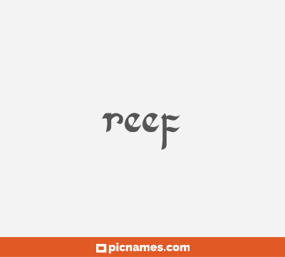 Reef