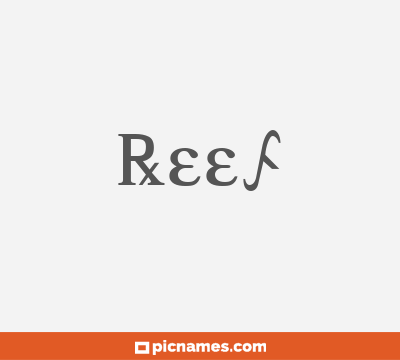 Reef