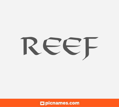 Reef