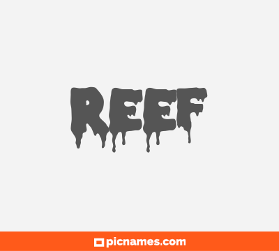 Reef