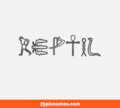Reptil