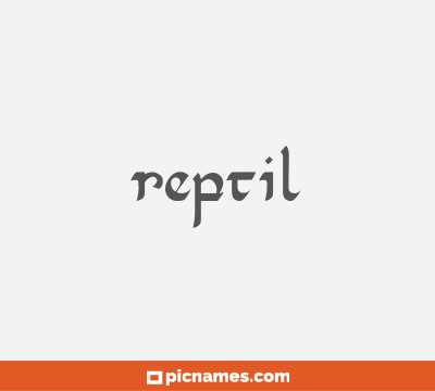 Reptil