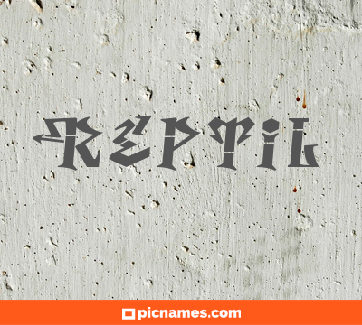 Reptil