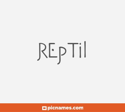 Reptil
