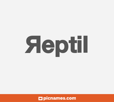 Reptil